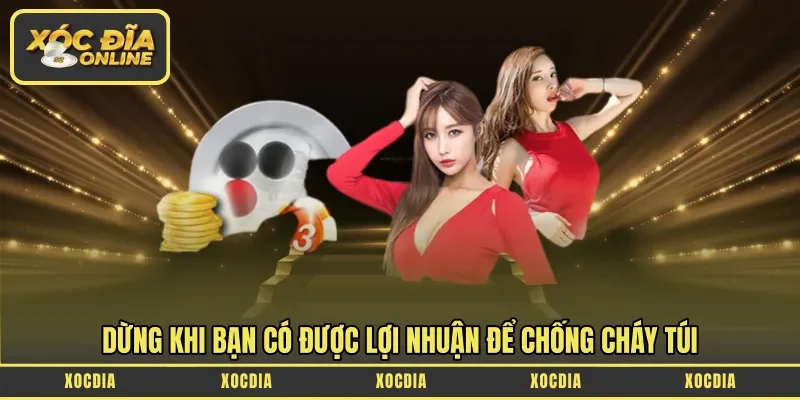 Dừng khi bạn có được lợi nhuận để chống cháy túi