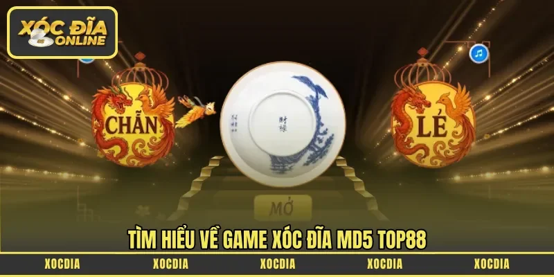 Tìm hiểu về game Xóc đĩa MD5 Top88